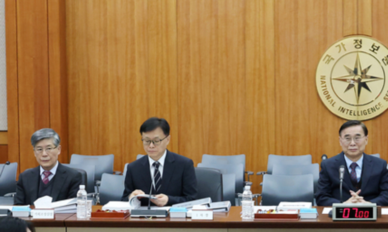 2025년 국가정보원 국정감사 종합보고