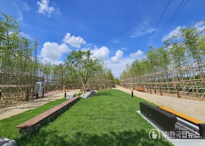 안성시, 도시바람길숲 아롱개 문화공원 내 맨발걷기 산책로 7월 26일 개장