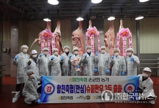 한 농장에서 슈퍼한우 3마리 동시 출하