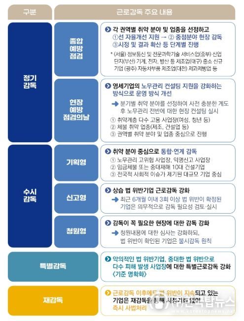 2025년 사업장 근로감독 분야별 계획