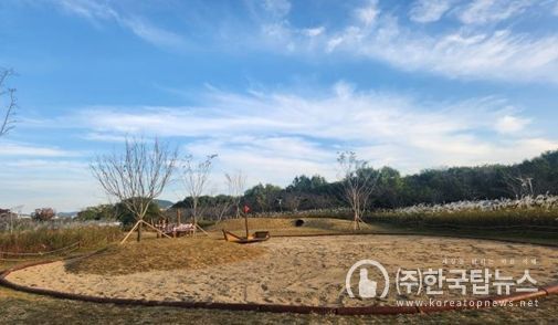 을숙도 유아숲체험원