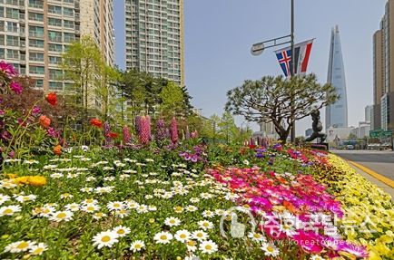 작년 4월 올림픽로 중앙분리대에 조성된 화단(좌)