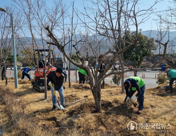 광양시 진상면 사회단체, 대봉감나무 심기 행사