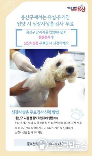 용산구 유실·유기견 심장사상충 검사 포스터