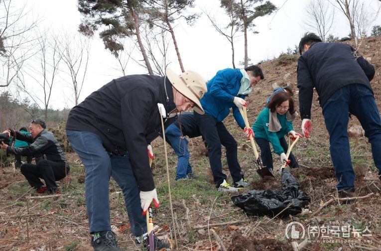 80년의 뿌리, 푸른미래, 나무심기 행사로 미래 진안 실현
