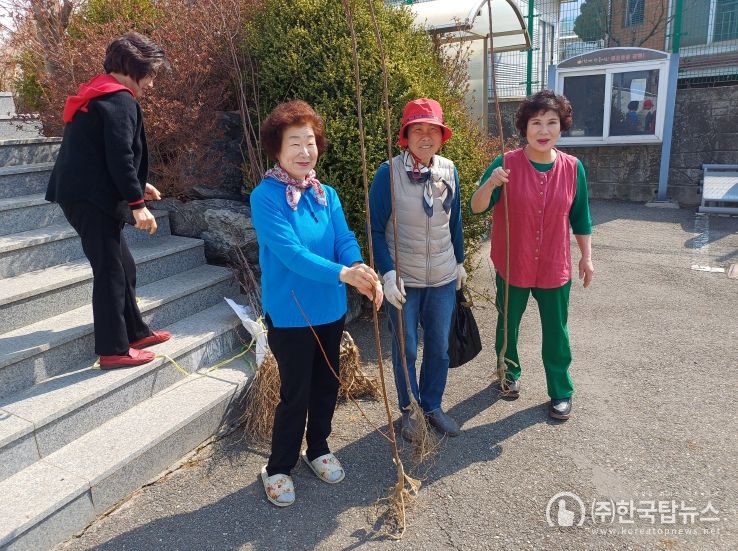 강화군 화도면, 나무 심고! 지역사회 자연 풍성하게!