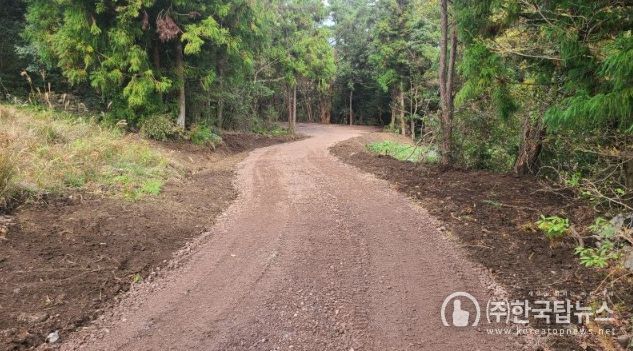 서귀포시, 산림경영 기반시설 확충 지방 임도사업 추진
