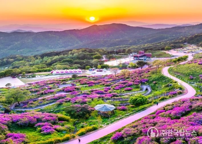경남 산청 황매산 철쭉제(5월 1일~5월 11일)