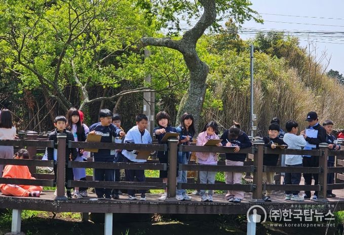 습지 및 해양 생태 환경 체험 활동