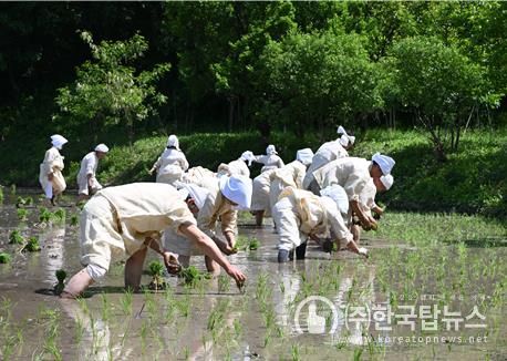 영동 설계리농요