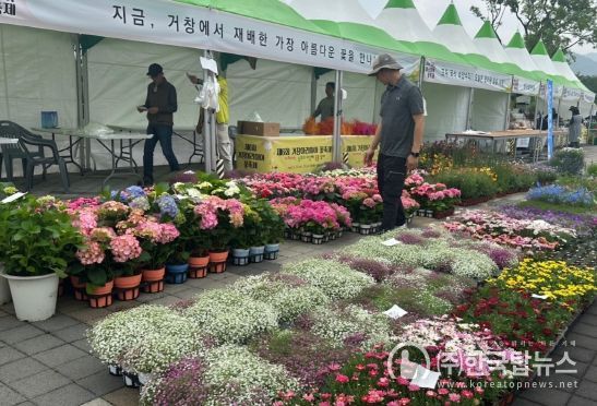 (2025년 제6회 거창아리미아꽃축제2)