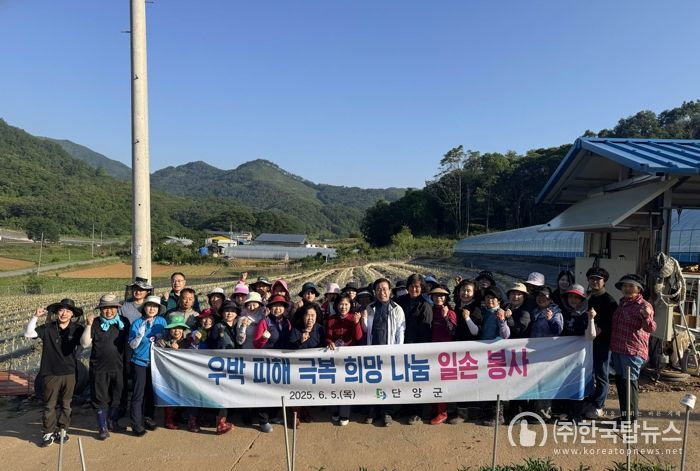 일손 돕기 사진