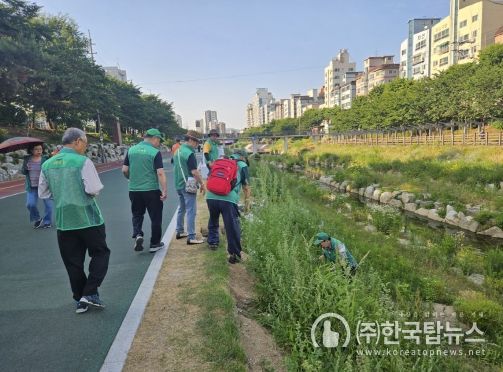 은평구, 불광천 “깔따구” 집중 방역 나서