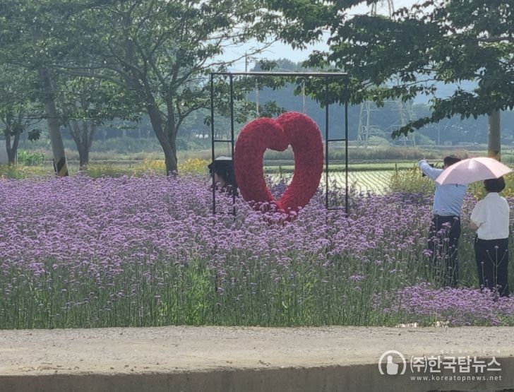 행사장내 여름꽃 경관.