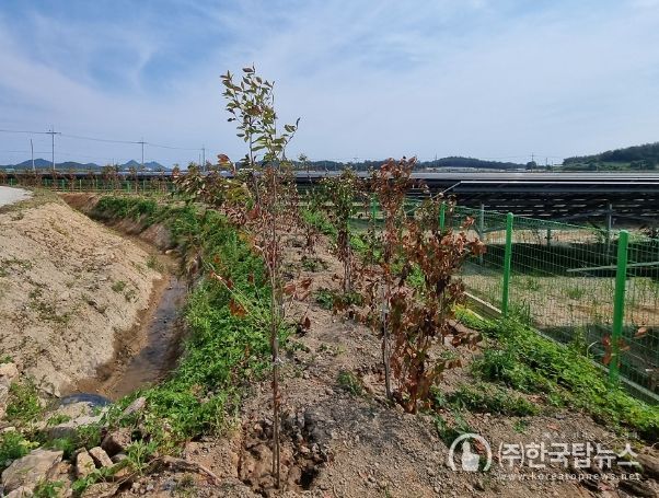 신안군, 차폐식재 예치제도 도입으로‘지속가능한 녹색경관’조성
