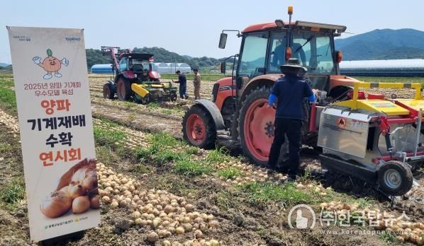 18일 해보면 대창리 일원에서 실시된 양파 기계 수확 시연회 모습