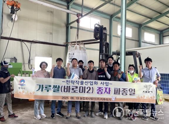 평택시, 논타작물 가루쌀(바로미2) 육묘 중점 관리