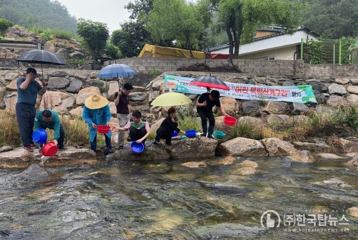 삼척시, 토종 어린 북방산개구리 5만 마리 방사