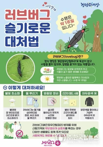 마포구 러브버그 슬기로운 대처법 리플릿