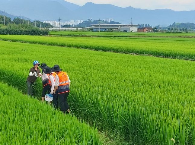 전남소방본부, 극한 폭염 119안전대책본부 운영