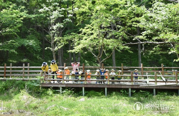 산소카페 청송군, 2026 산림정책 발표-유아숲 운영