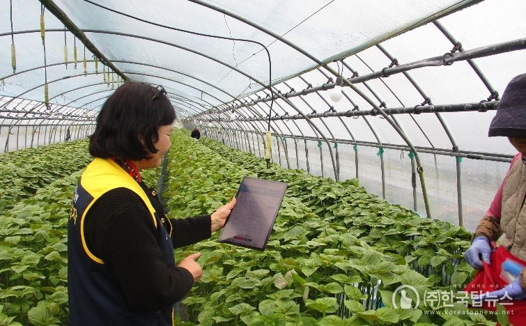 금산군농업기술센터 소속 농작업 안전관리관들이 농가 대상 현장 안전점검에 나서고 있다.